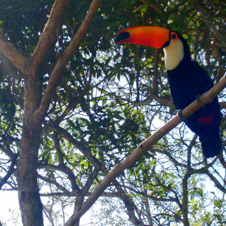 Pousada Tucano Do Cuiaba Itaipava Экстерьер фото